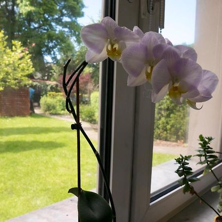Apartament Parkowy Apartment Красков Екстериор снимка